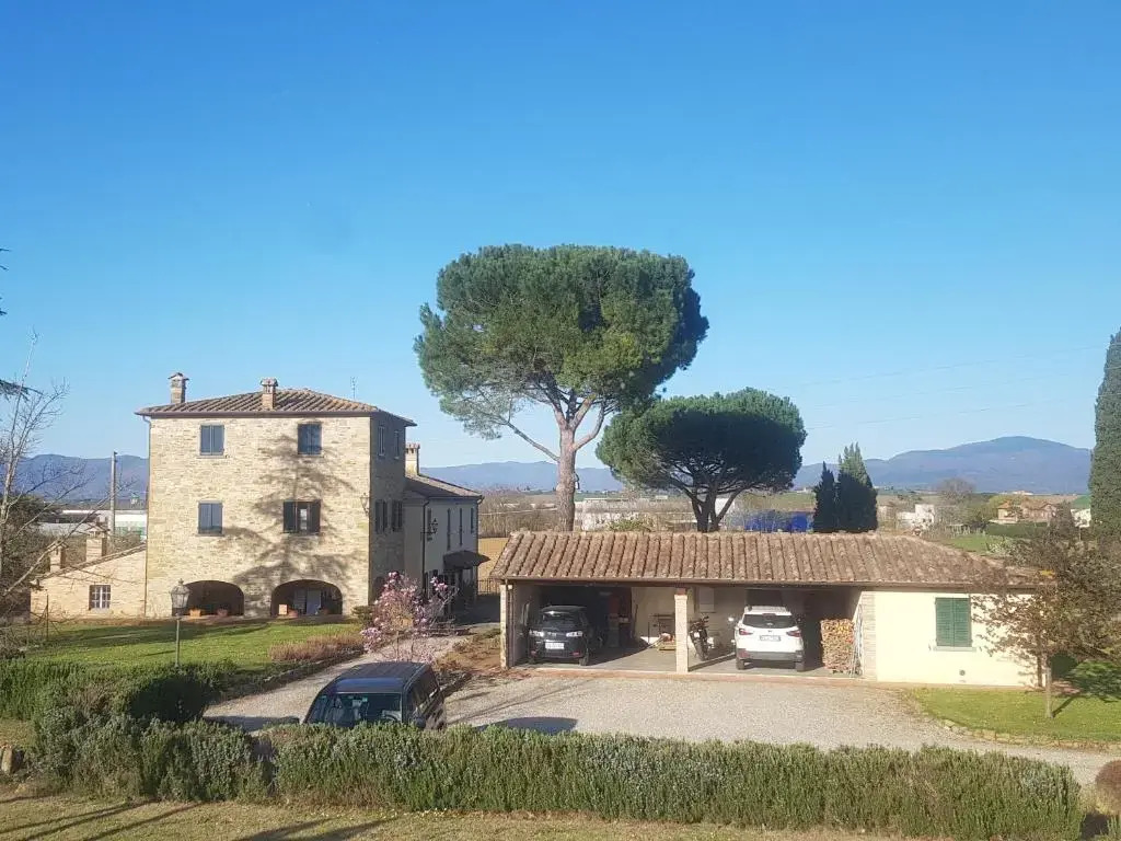 Canto De Bacci