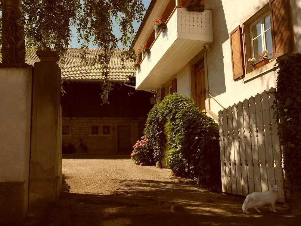 La Vieille Vigne Bed & Breakfast