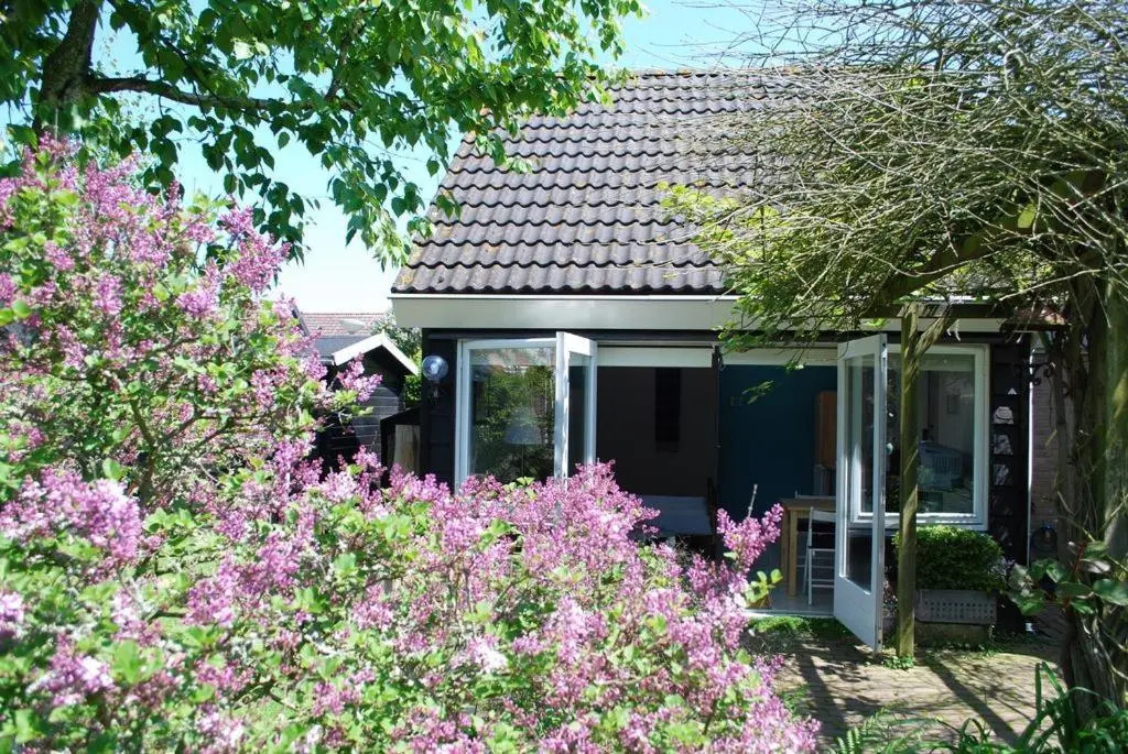 De ZeeuwSter