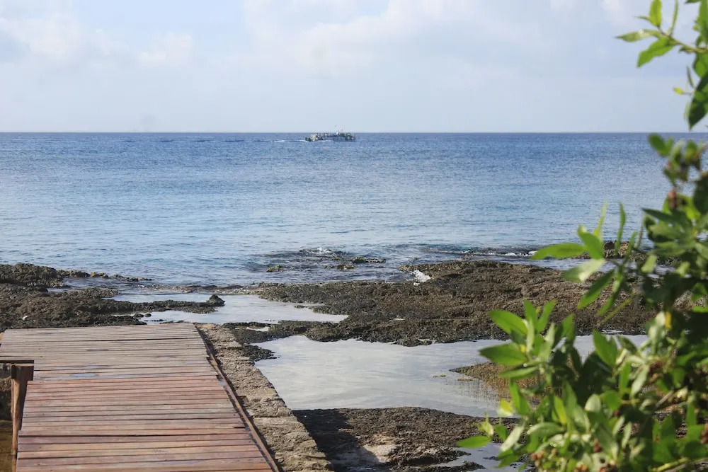 Great Condo in Cozumel OCEAN FRONT D10