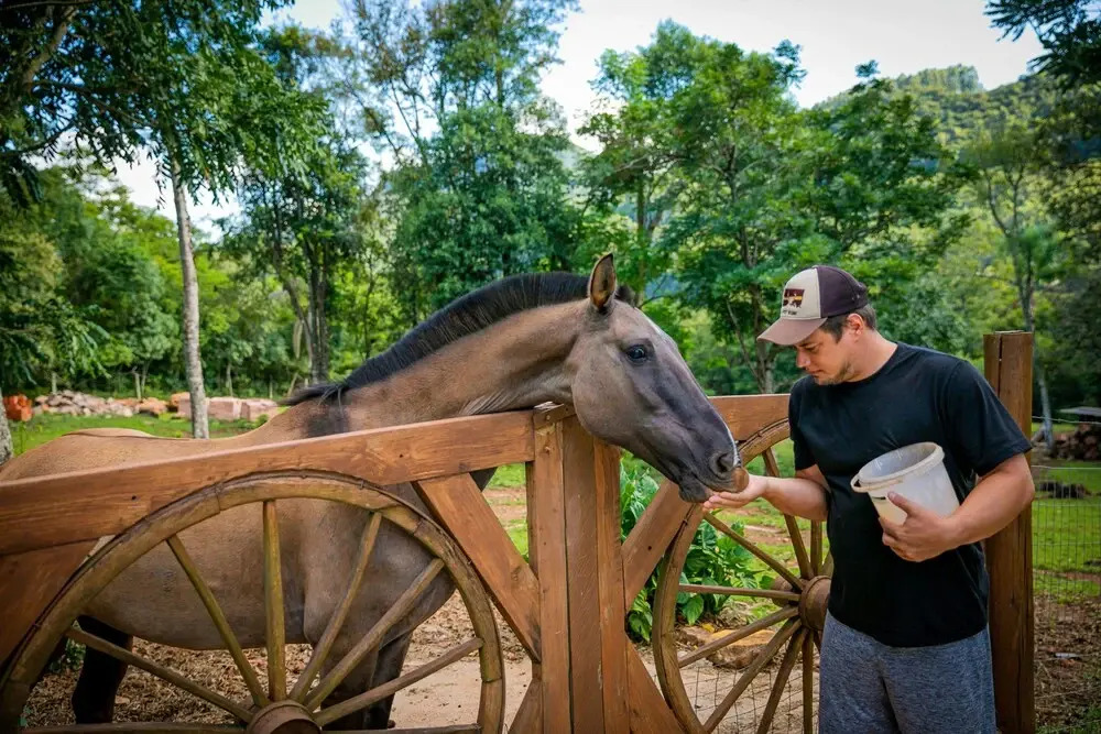 Pousada Farm Home