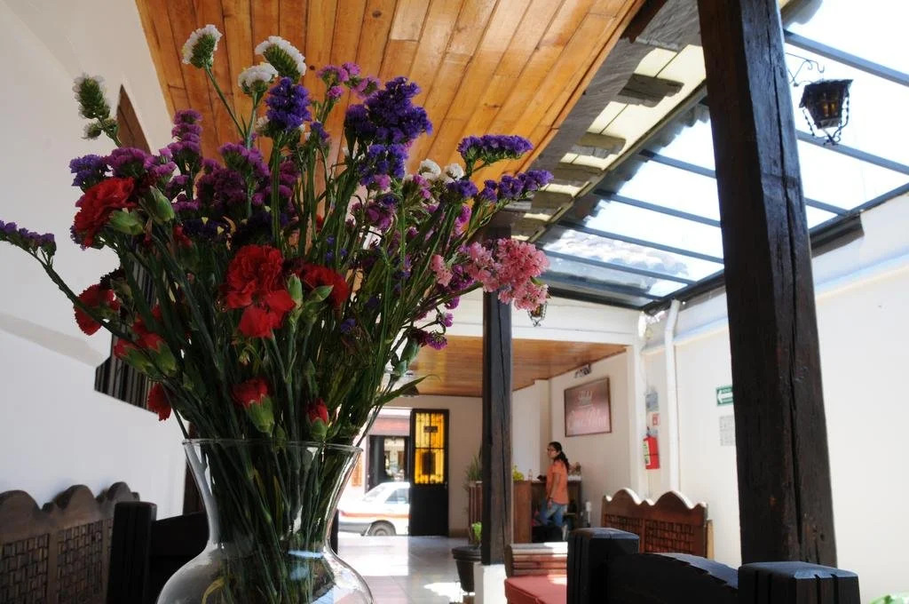 Hotel Casa Petra