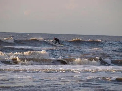 Divi Divi Zandvoort