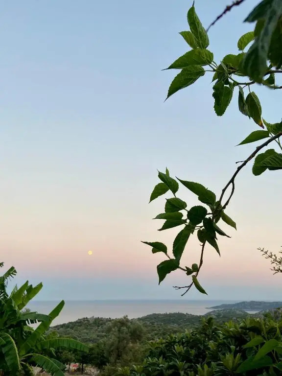 Senayablaevpansiyonculuk