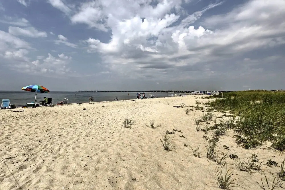 Steps to Eats & Craigville Beach! Cape Cod Cottage