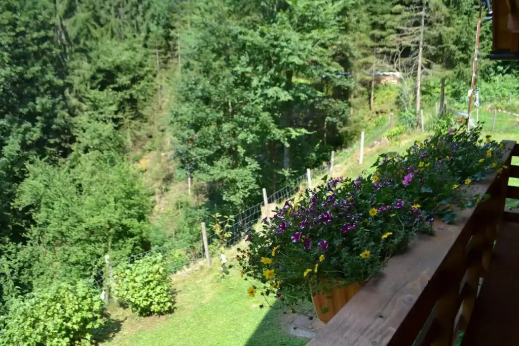 Ferienhaus Waldenstein 1