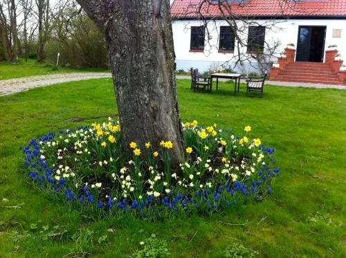 Gutshaus Ketelshagen