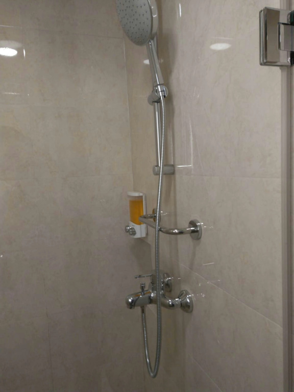 Ginger Trivandrum