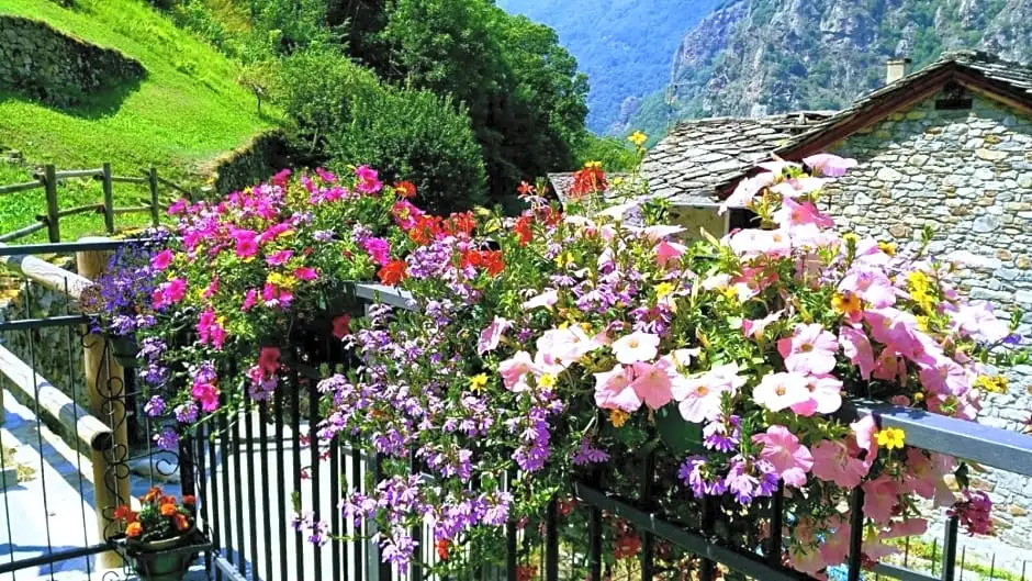 B&B Maison Vallomy
