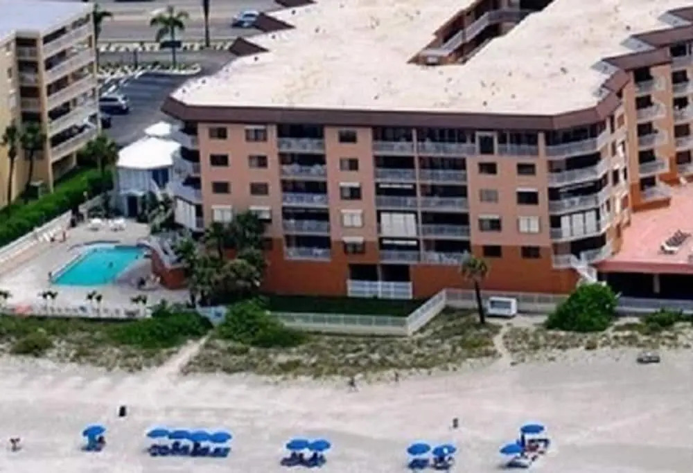 Beach Palms 405
