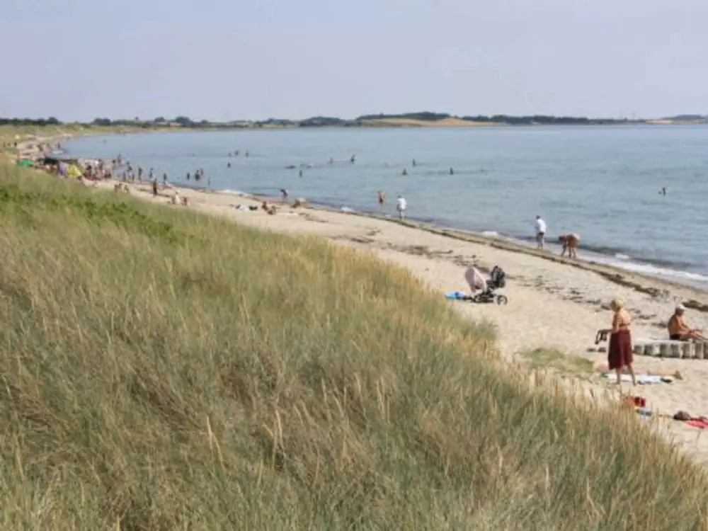 Attractive Holiday Home in Humble Denmark With Barbecue