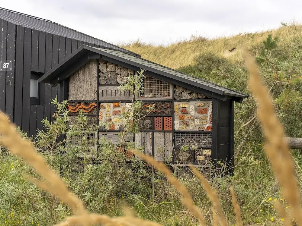 Modified, Modern Lodge Near the Beach