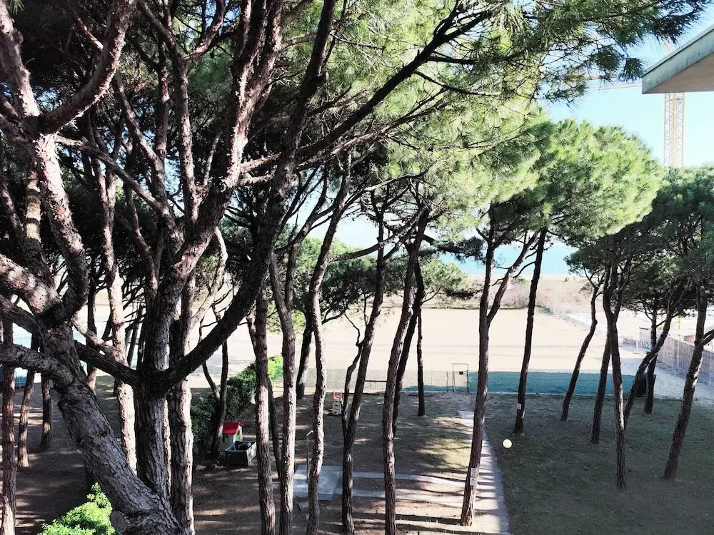 Relaxing Apartment in Pine Forest