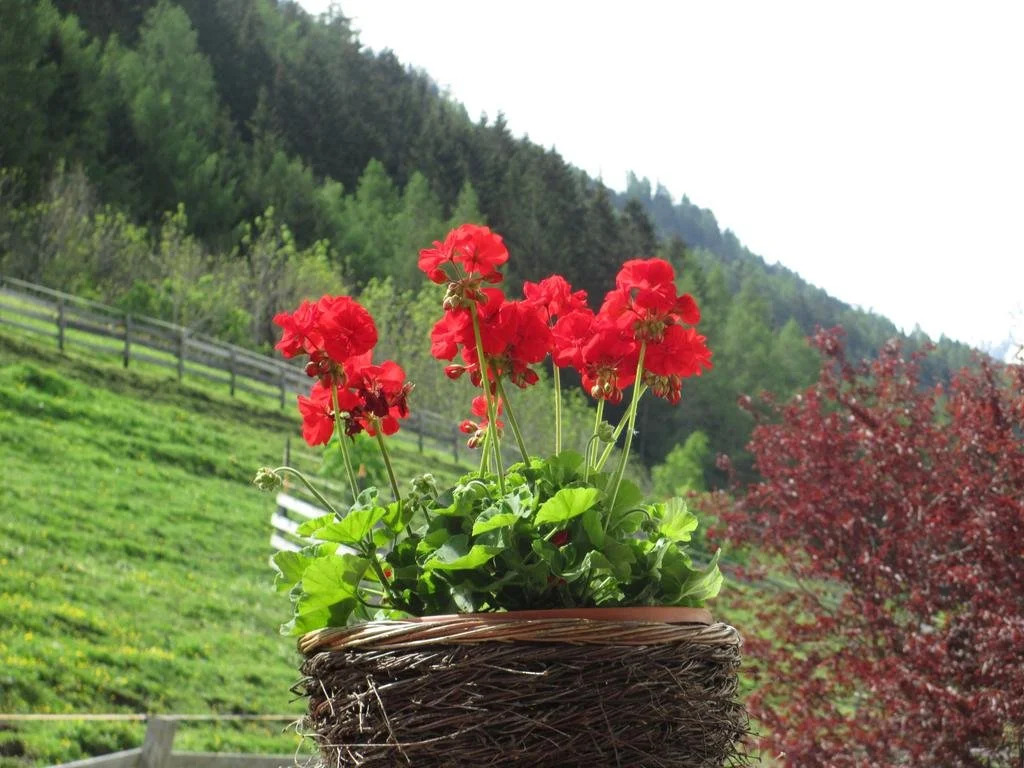 Haus Hubert