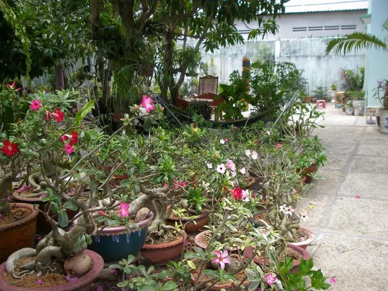 Mekong-Logis Guesthouse