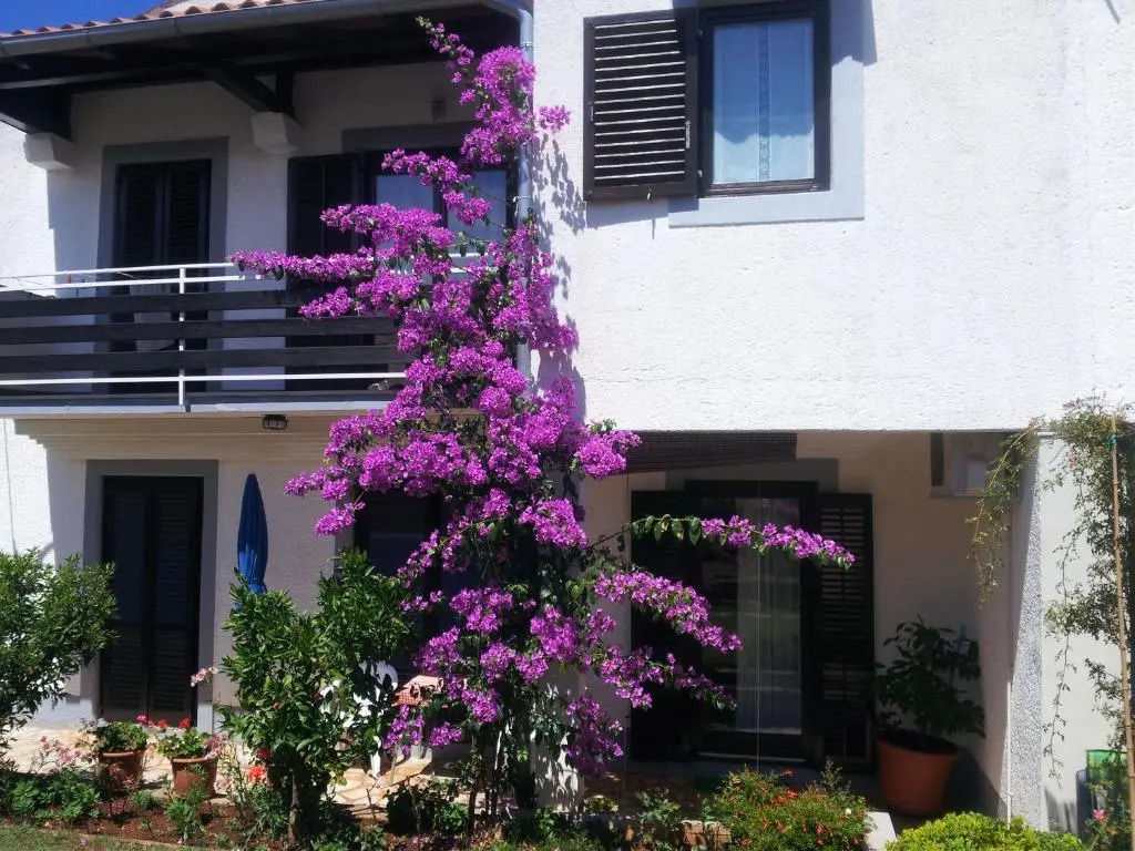 Apartments Barac