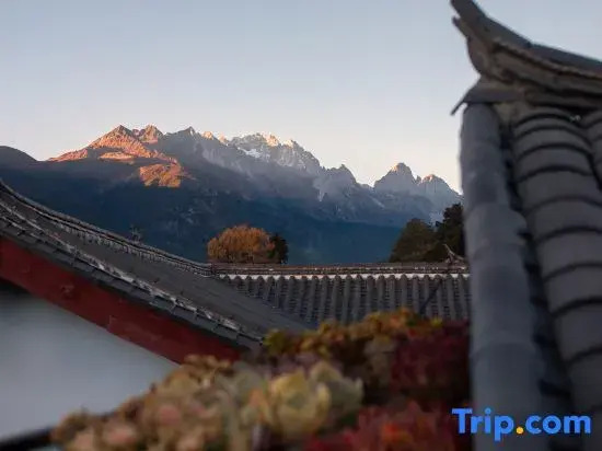 Yulong Qiyunli Designer Homestay