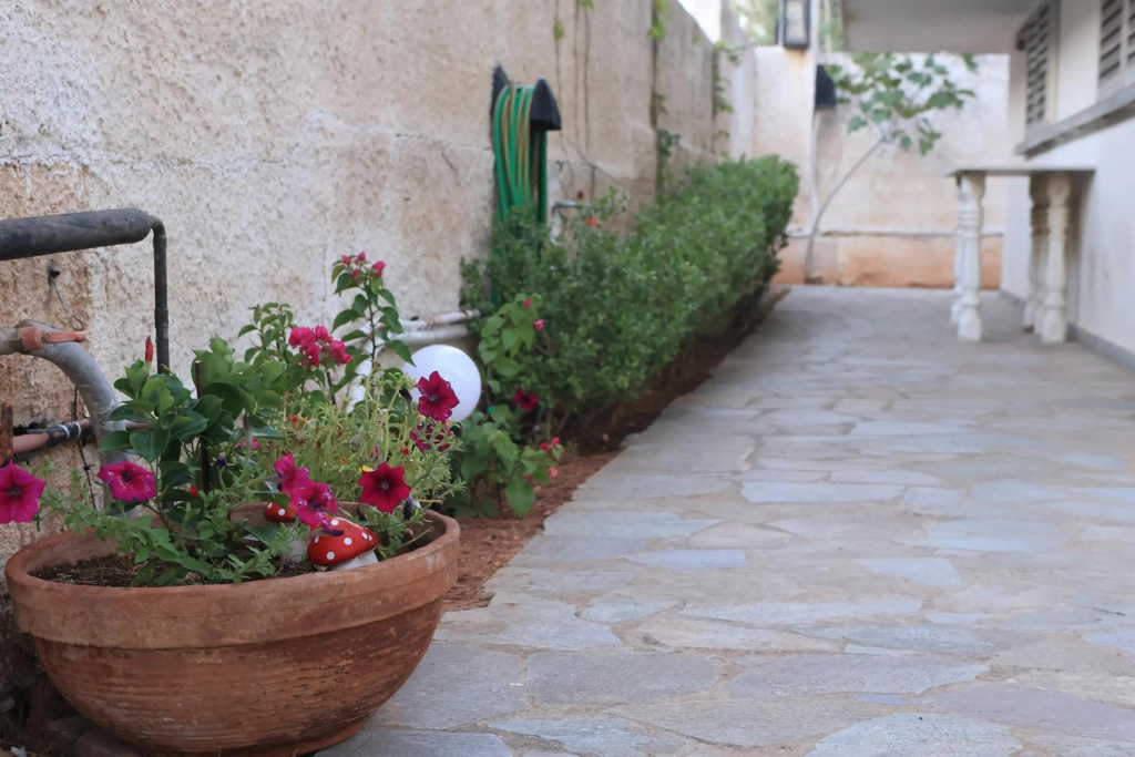 Best House Secret Garden Home Lagonisi Attiki