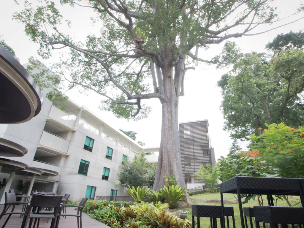 Changi Cove
