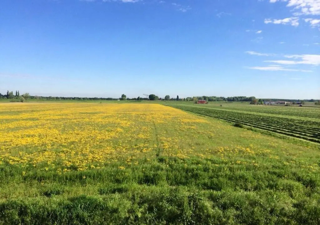 B&B Antica cascina