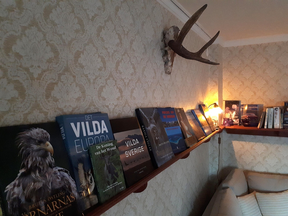 Real Swedish Country House is Ideal for Large Families