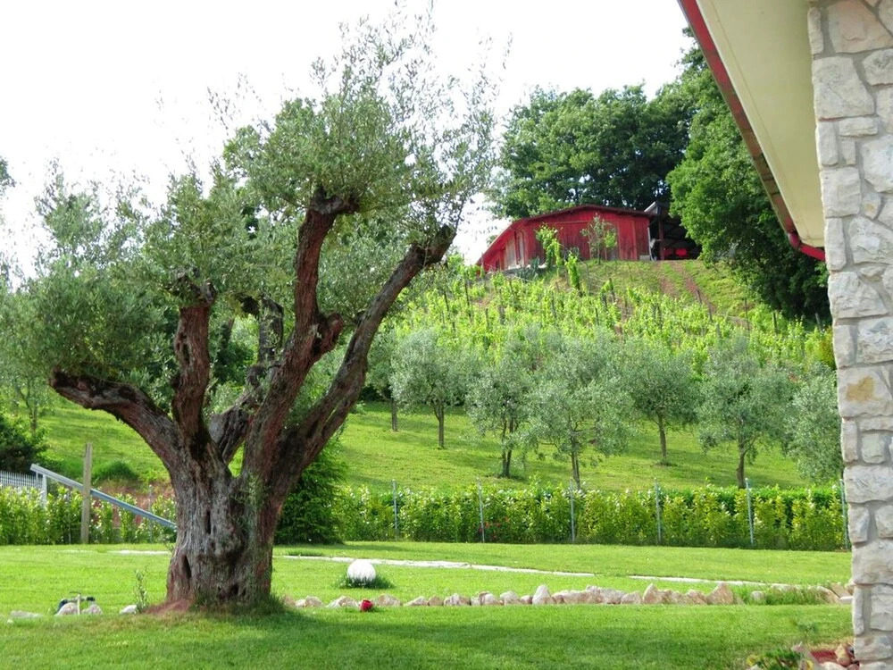 Studio in Montemiletto, With Shared Pool, Furnished Terrace and Wifi