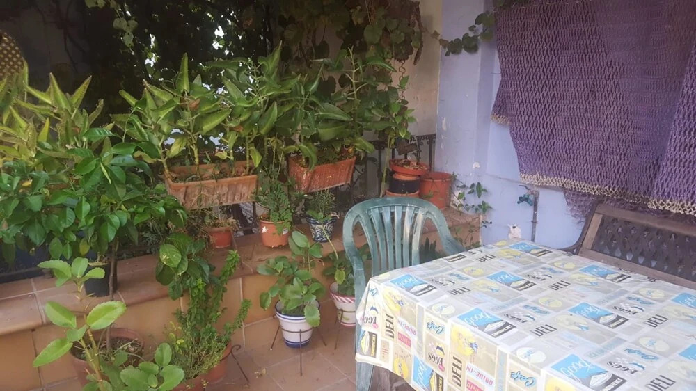 Studio in Jerez de la Frontera, With Furnished Terrace and Wifi - 5 km