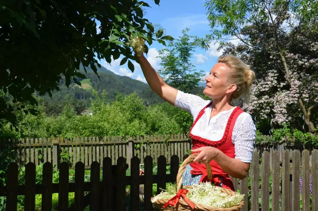 Falkenau