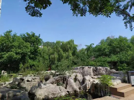 Zhefei Hotel Jinan Shandong International Convention and Exhibition Center Store