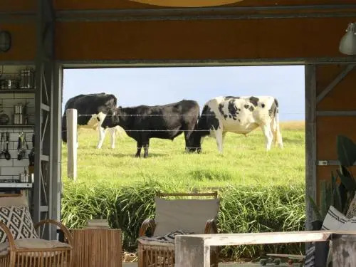 THE SHED Gerroa 4pm checkout on Sundays and Public Holidays
