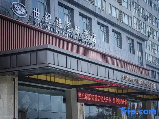 Century Fate International Hotel (Nanjing Jiangning Wanda Plaza)