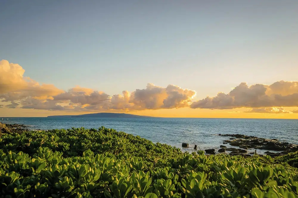 Maui Vista 1106, Kihei