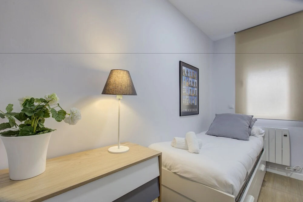 Cozy Apartment in Conde Duque