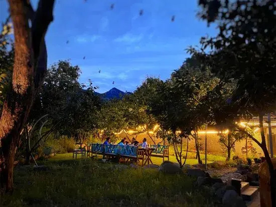 Wild Garden
