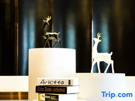 Wanna Hotel (Changsha Desiqin Plaza)