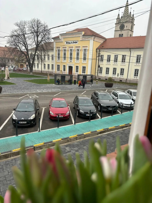Hotel Leul de Aur