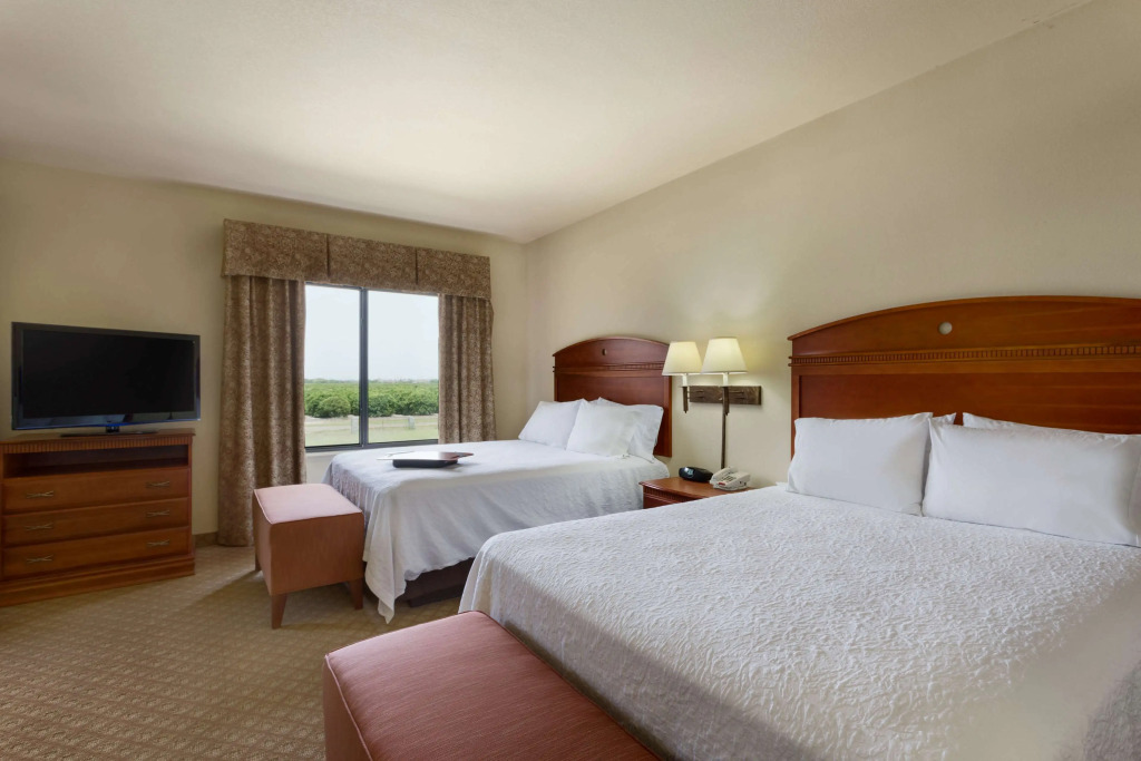 Hampton Inn & Suites Pharr