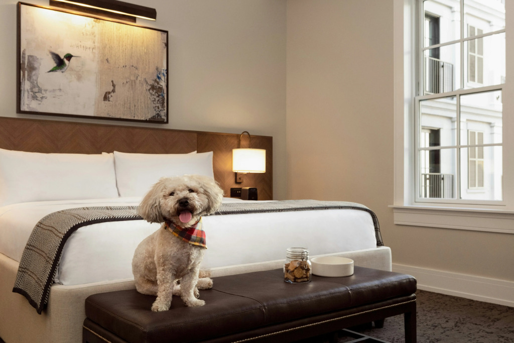 The Harpeth Franklin Downtown, Curio Collection by Hilton