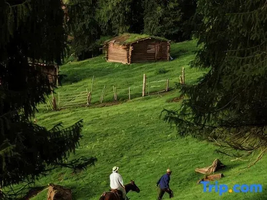 Tingshan Youyuan · Scenic Hillview Garden Boutique Stay (Narat Tourist Scenic Area Branch)