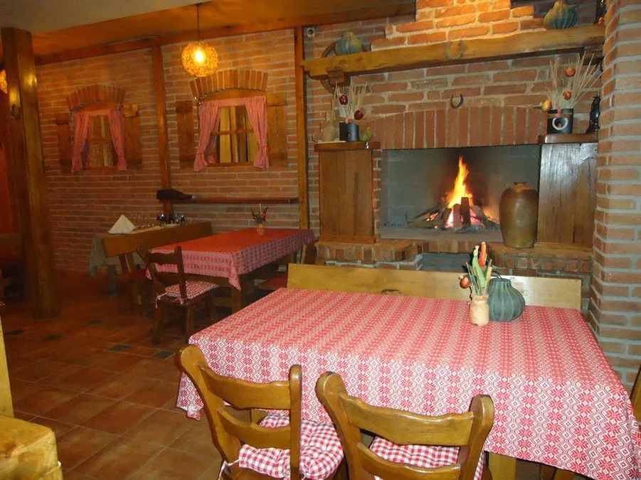 Party Hostel