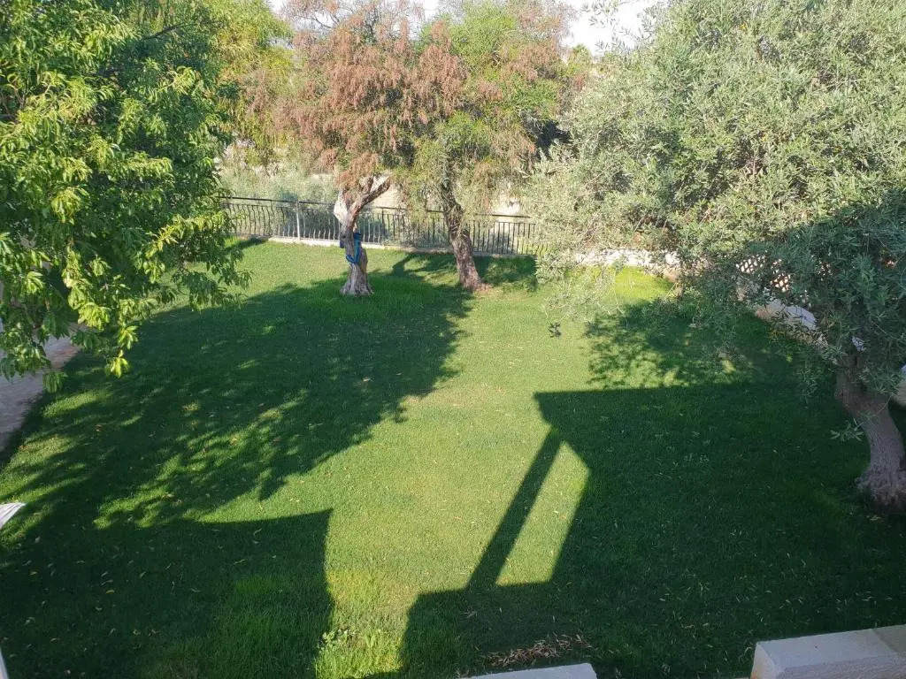 Teodora House