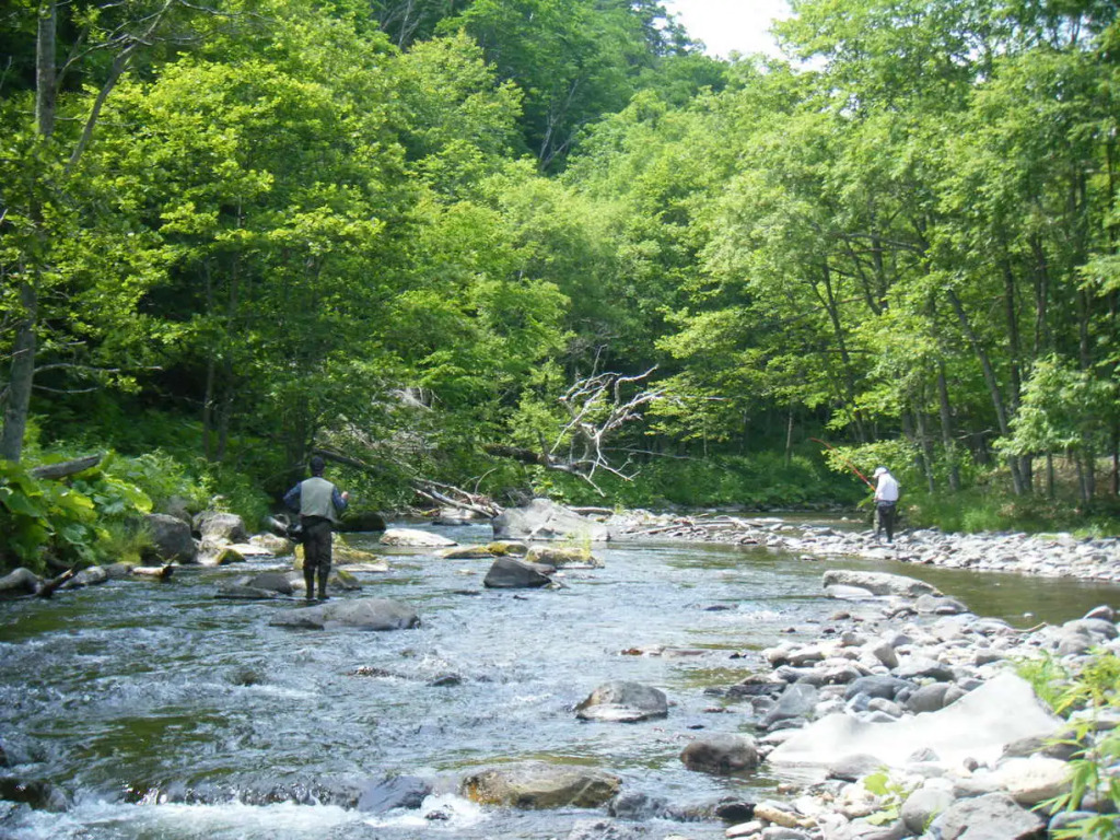Onsen Pension Mori No Fukuro