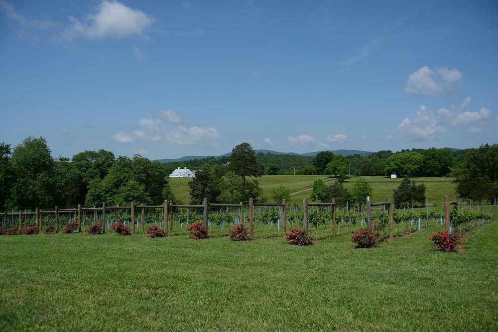 Woodville Bed and Breakfast
