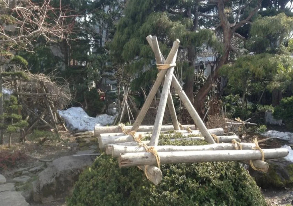 Toka-en