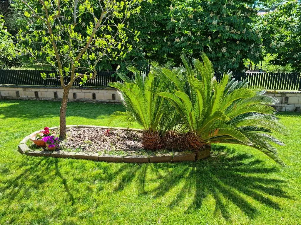 Il Casale nel Parco Guesthouse