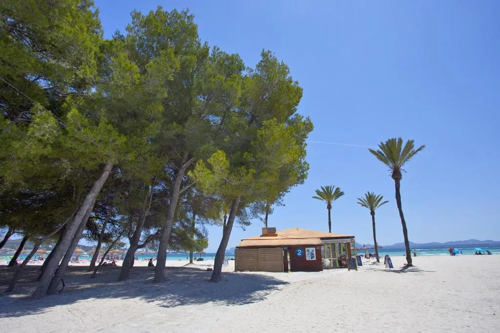 Apartamento Ciutadella 1