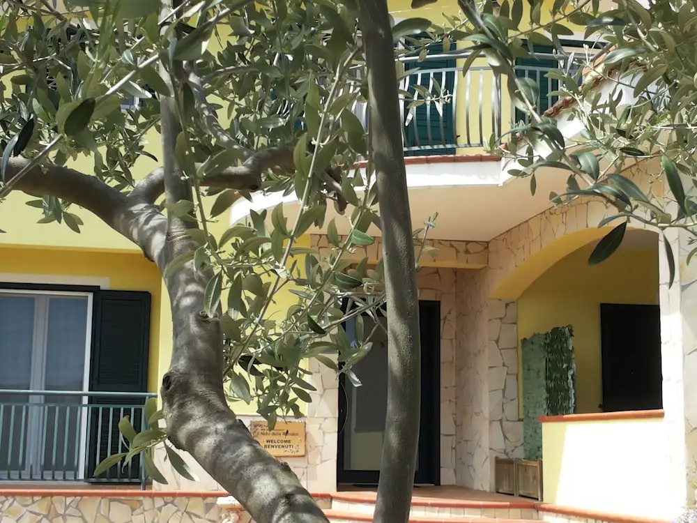 Il Nido Delle Rondini