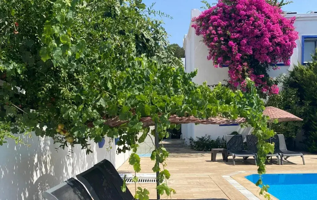 Ozgun Apart Otel