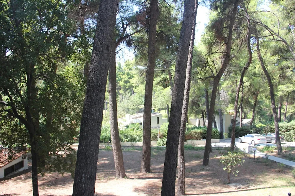 Sani Beach Apartment
