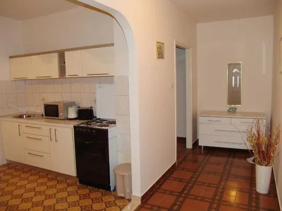 Apartment Viki